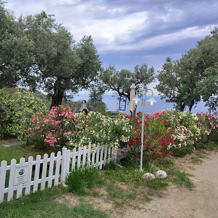 Villa Pierina فينالي ليغوري المظهر الخارجي الصورة