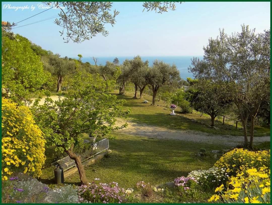 Villa Pierina فينالي ليغوري المظهر الخارجي الصورة