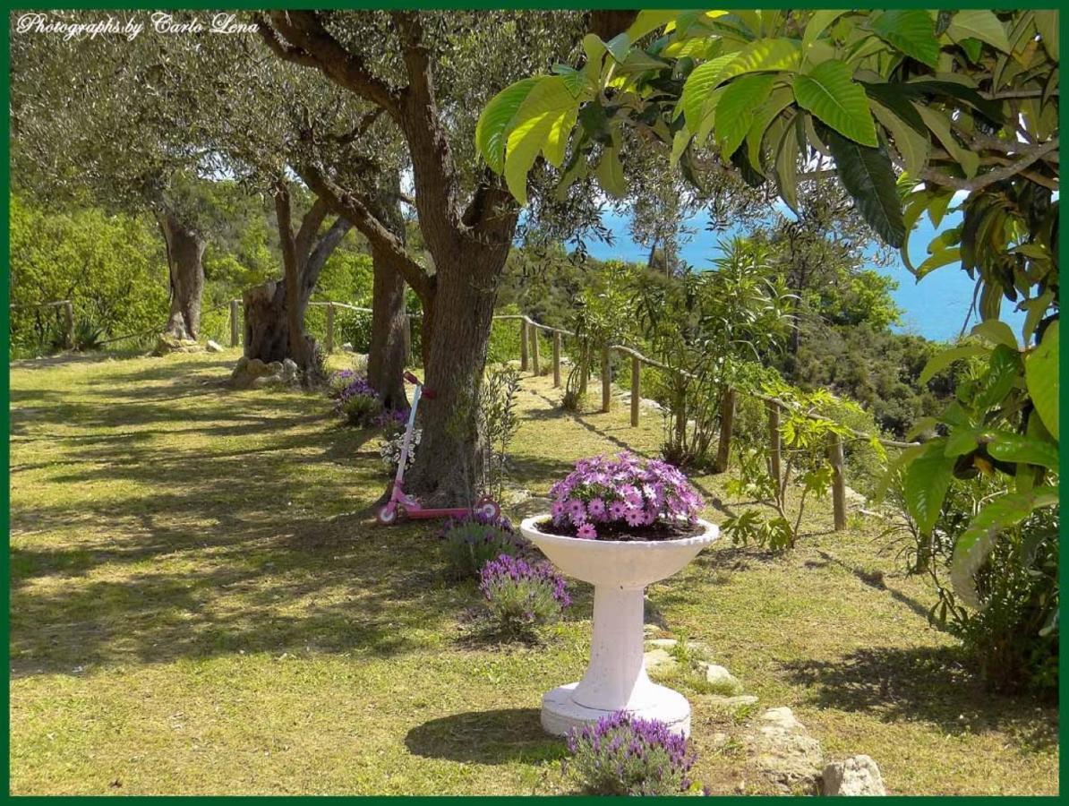 Villa Pierina فينالي ليغوري المظهر الخارجي الصورة